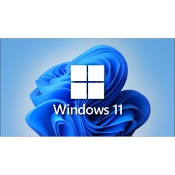 Microsoft Windows FQC-10556 11 Pro 64 Bit Tr Oem