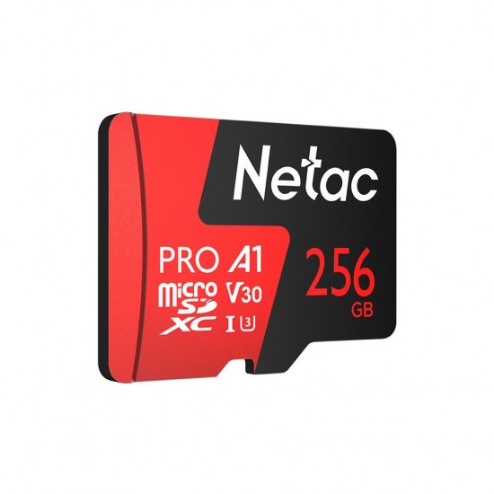 Netac 256 GB V30/A1/C10 NT02P500PRO-256G-R MicroSDXC Kart