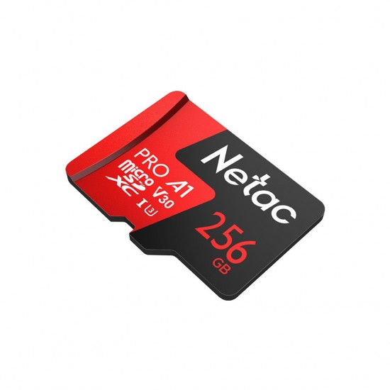 Netac 256 GB V30/A1/C10 NT02P500PRO-256G-R MicroSDXC Kart