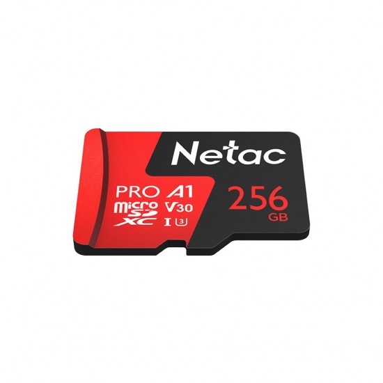 Netac 256 GB V30/A1/C10 NT02P500PRO-256G-R MicroSDXC Kart