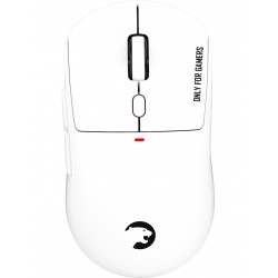 Gamepower Fenix RGB Beyaz Optik Kablolu/Kablosuz Oyuncu Mouse